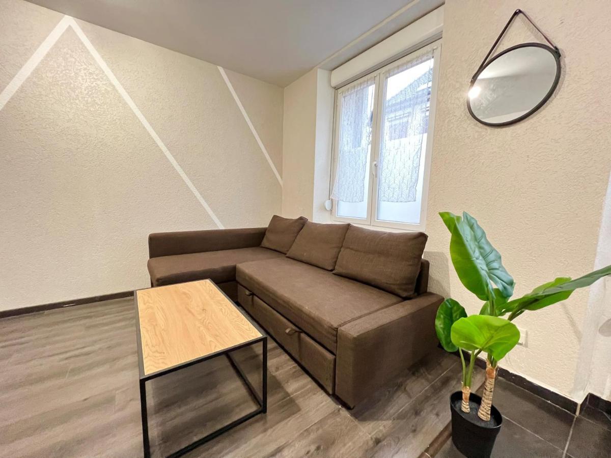 Cosy 0 , Mulhouse Centre Apartment Bagian luar foto