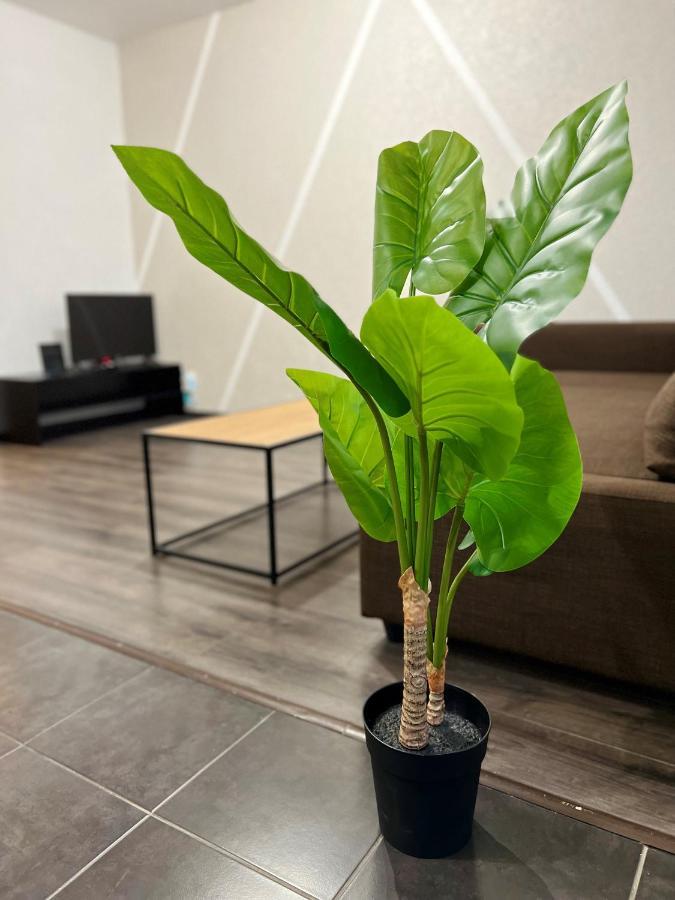 Cosy 0 , Mulhouse Centre Apartment Bagian luar foto